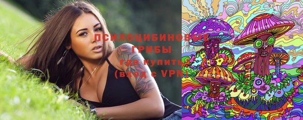 прущий лед Алексин