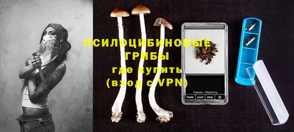 прущий лед Алексин