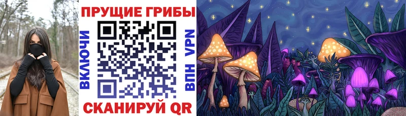 кракен ССЫЛКА  Вологда  Псилоцибиновые грибы мицелий  даркнет сайт 