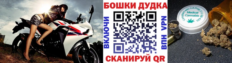 МАРИХУАНА ГИДРОПОН продажа наркотиков Вологда